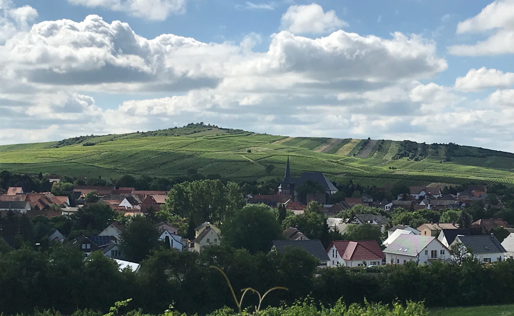 Weingut Berg